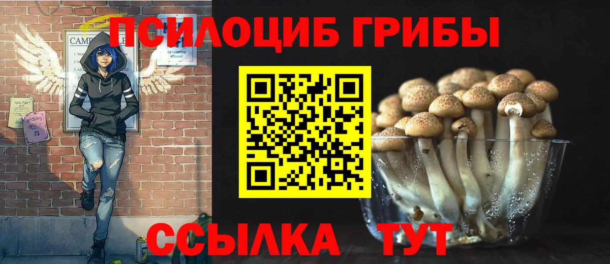 магазин    Вход с VPN  Новочеркасск  Галлюциногенные грибы Cubensis 