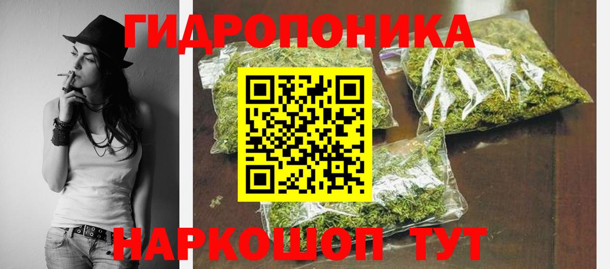 Бошки марихуана конопля  Каннабис White Widow  Конопля конопля  Вход с VPN  Новочеркасск  Канабис план 